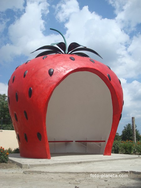 Остановка в форме ягодки Лески (Килийский район)