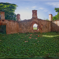 Остатки панской усадьбы