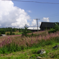 Околица деревни