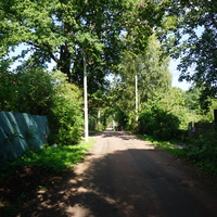 Мартышкино. Лесная улица.