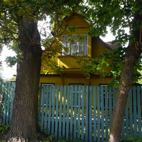 Мартышкино. Лесная улица.