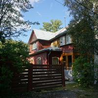 Мартышкино. Лесная улица.