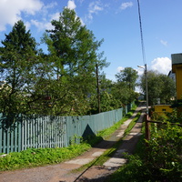 Мартышкино. Лесная улица.