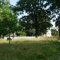 Мартышкино.Улица Репина.