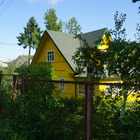 Мартышкино. Лесная улица.