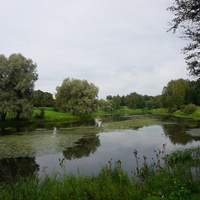 Природа Павловска.Река Славянка.Парк Мариенталь.