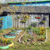 Придомовая территория в деревне Шадричи Орловского района Кировской области