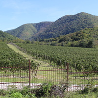 Прасковеевка.