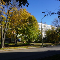 Улица Чкалова.