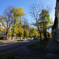 На улице Чкалова.