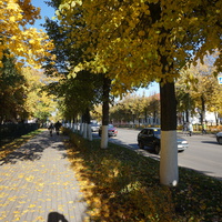 Проспект 25 октября.