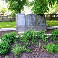 Пам'ятник воїнам-визволителям загиблим в грудні 1943 року під час визволення села Степанки від німецько-фашистських загарбників.