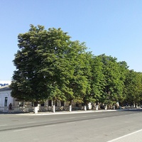 город Измаил, проспект Суворова