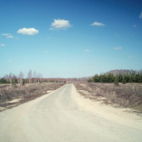 Новая дорога в д. Зевнево