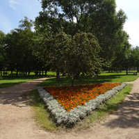 Сад "Чернова Дача"