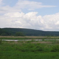 Ірдинське болото.