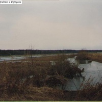 Разлив реки Поля между деревнями Малое Гридино и Горки. Май 1994г.