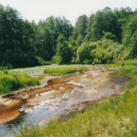 Река Поля у деревни Василенцево