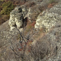 Ботанический памятник природы местного значения «Балка Плоская»