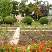 Ужгородской ботанический сад