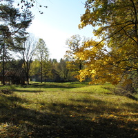 Осенний лес на Байкуре.