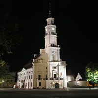 Каунасская ратуша