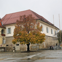 Замок Марибор