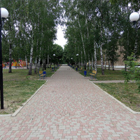 Пешеходная дорожка в парке Железнодорожников