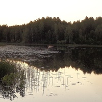 Белые ночи. Озеро Опаринское, Новгородская область.