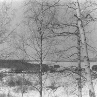 Заброшенная деревня на реке Ангара, 50 километров, выше посёлка Стрелка. 1968 год.