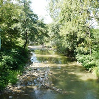Река Свалява