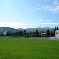 Местный стадион