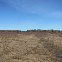 Урочище Еляково в 2011 г., поля вокруг бывшей деревни