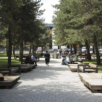 Городской парк на площади Сети