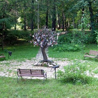 "Дерево потомков" в парке