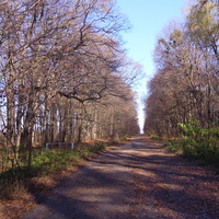 Дорога на Тимошівку з боку Бандурово.