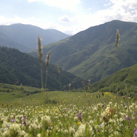 Цунтинский район село Шапих Республика Дагестан