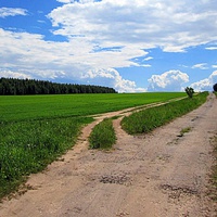 Дорога на село.