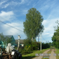 Деревня Меженино