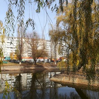 Осень в россошанском парке