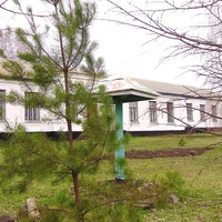 Лузанівська загальноосвітня школа I-III ступенів,Кам'янської районної ради,Черкаської області.