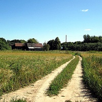 Дорога на деревню