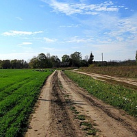Дорога на деревню.