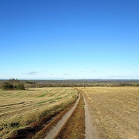 Дорога на деревни: Поляна и Соловьёво