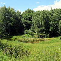 Деревенский пруд