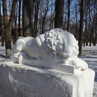 Лев в городском парке