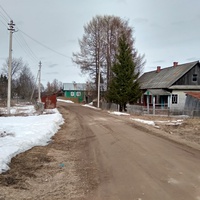 улица в д. Зарецкая