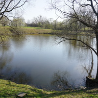 Не Большое озеро на проспекте Стачек.