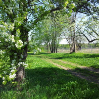 Весна, д.Рогово