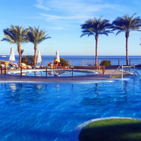 Египет. Шарм-эль-Шейх. Отель. Море,пальмы и бассейн.